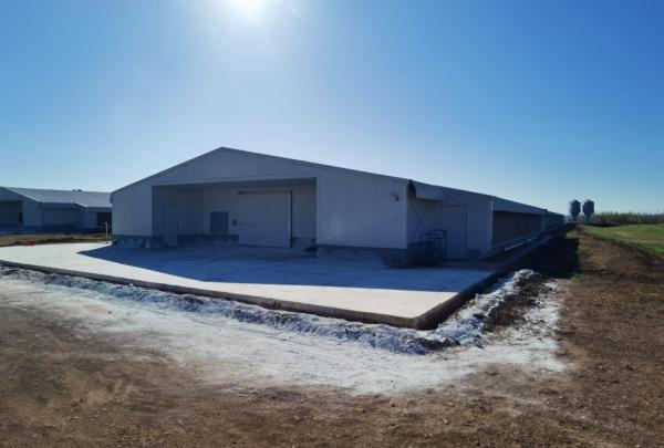 Hot Dip Galvanized Metal Steel Broiler Layer Poultry House With Automatic Brooding Equipment