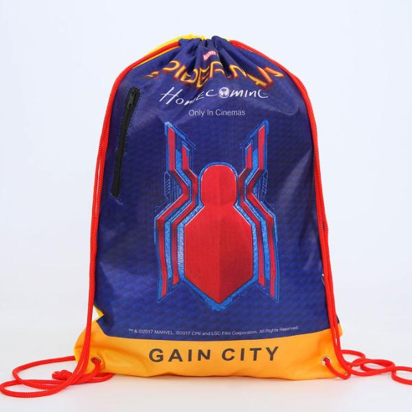 Waterproof Laundry Polyester 190T Nylon Logo Drawstring Gift Bags