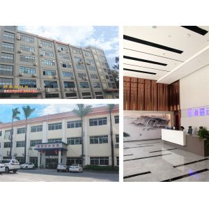 ShenZhen Longtiger Technology Co., Ltd.
