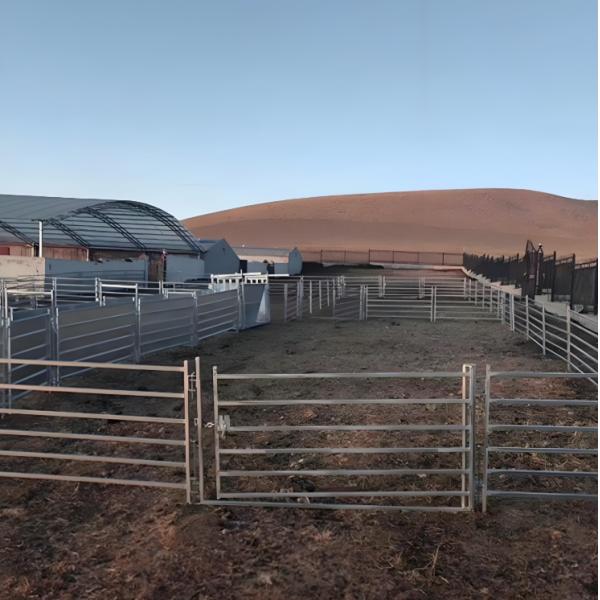 Medium-Duty Heat Treated Galvanized 6-Foot Livestock Farm Fence Panel