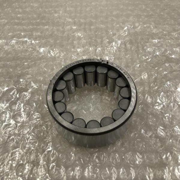 F-215227.01.RNU Hydraulic Pump Bearing F-215227 41.7*66*27mm Cylindrical Reducer Gearbox Roller Bearing