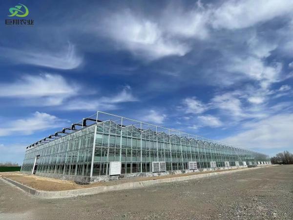 Green Leaves Vegetables Film PC Sheet Agricultural Multi-Span Greenhouses for Hydroponics