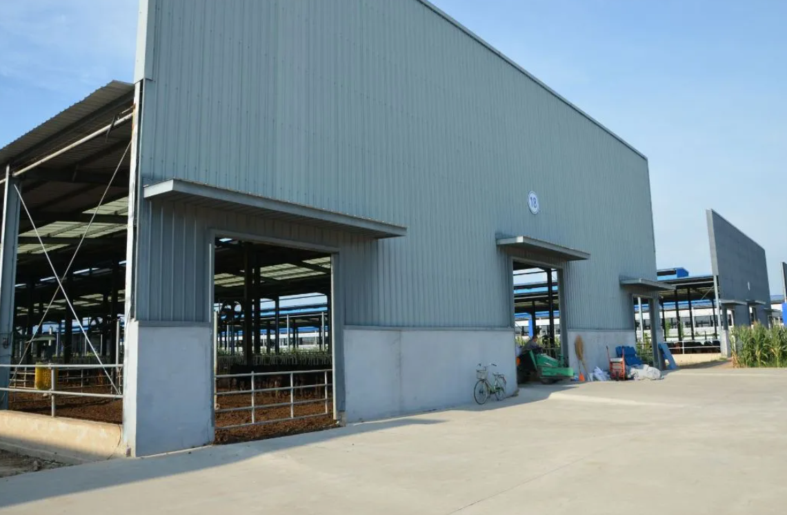 Modular Quick-Assembly Windproof Waterproof Low-Maintenance Steel Poultry House and Livestock Steel Shed