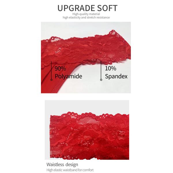 Las bragas de nylon del inconformista con los escritos atractivos ultra suaves del encaje elástico del cordón ven a través de las prendas íntimas de las bragas
