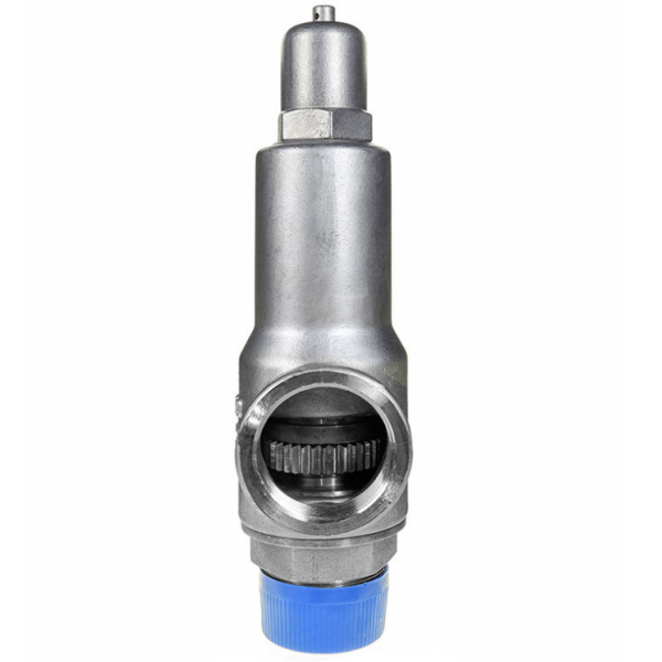 DN50 Safety Valve for Liquid Nitrogen Competitive Price for Pressure Regulation