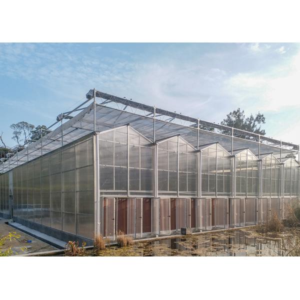 Commercial Polycarbonate Greenhouse with 3--7 Meter Roof Height and Customized PC Sheet