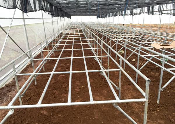 Auto Circulation PH Stable Dwc Grow System Deep Water Hydroponics