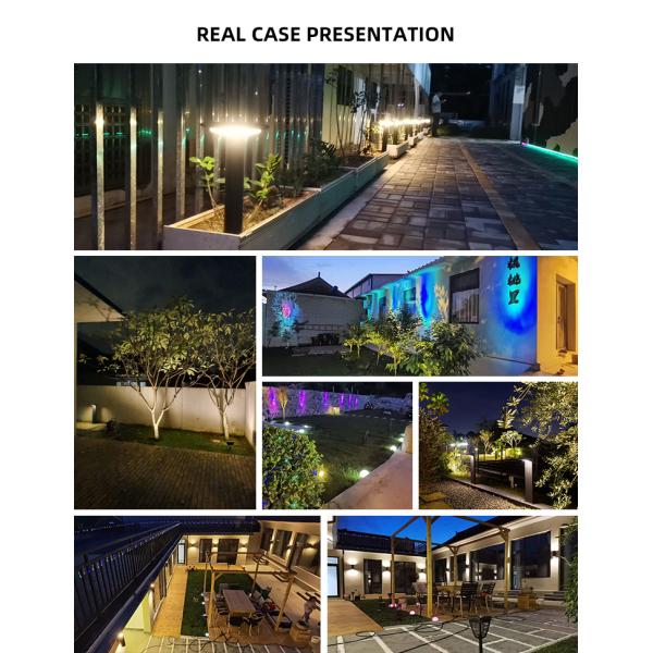 RoHS аттестовало тропу СИД RGB на открытом воздухе солнечную освещает управление переключателя 1.5W 80LM магнитное