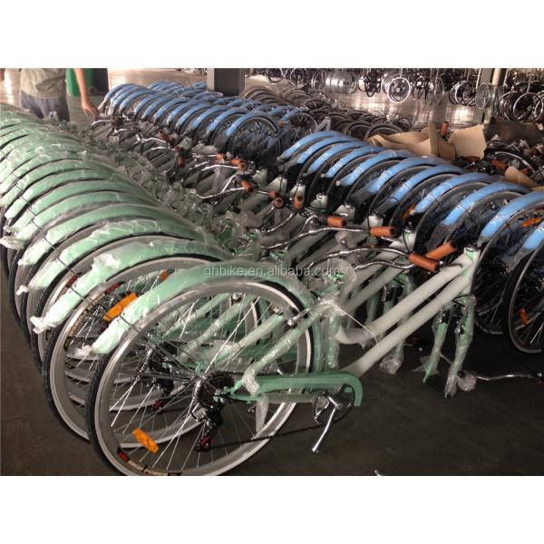 Customize Aluminum Frame 21S Women's Urban Bike Fitness Bikes Hybrid Bicycle for Adult
