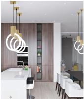 Metal Acrylic Rings Led Pendant Light Anti Corrosion  20cm / 30cm / 40cm