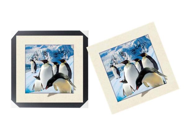 Office / Hotel Decoration Animal Picture 5d Lenticular Picture With Frame