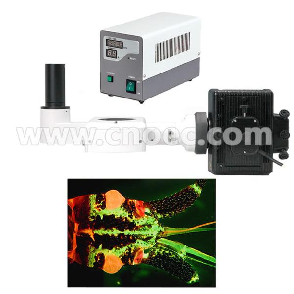 Parallel Gem Stereo Optical Microscope Transmitted Light Microscopes Rohs A23.1004