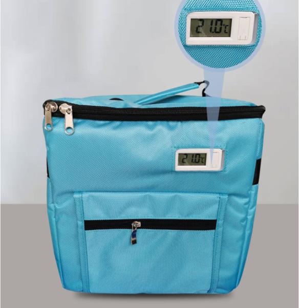 Sac de stockage médical réfrigéré avec personnalisation, sac isotherme avec blocs réfrigérants