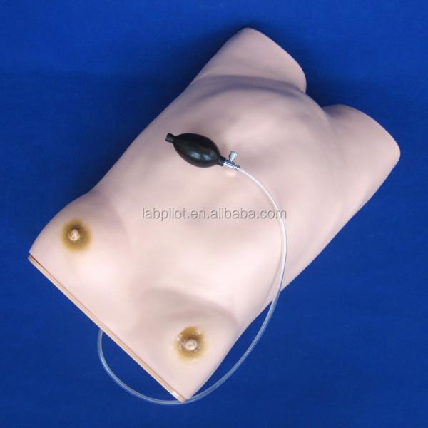 Basic Maternity Examination Manikin for Pregnant Women Examination in Medical Science