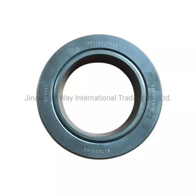 Genuine Shacman Sinotruk Heavy Truck Part Battery Balance Shaft Bearing 199114520042