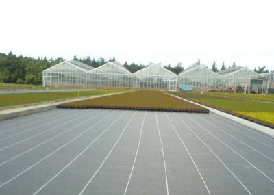 A tela da vegetação rasteira do jardim/tela não tecida do controle de ervas daninhas para mantém a temperatura