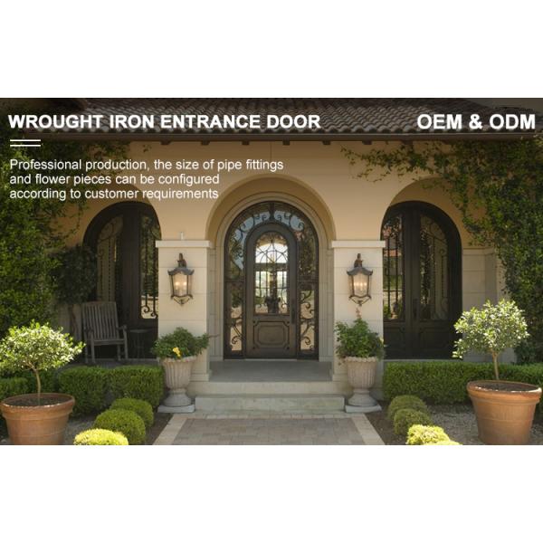 China Patio Single Pocket Double Door Main House Entry Entrance Wrought Iron Door with Elegant Decorative Design