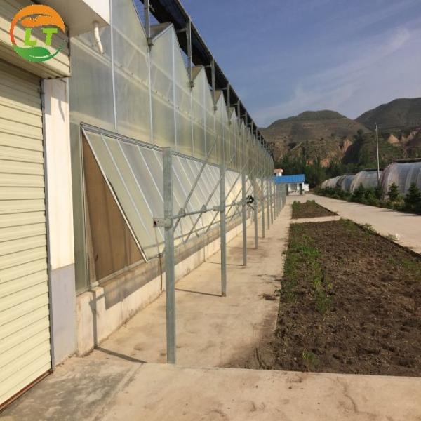 High Yield Hydroponic Greenhouse for Tomatoes Vegetables and Flowers in Any Season