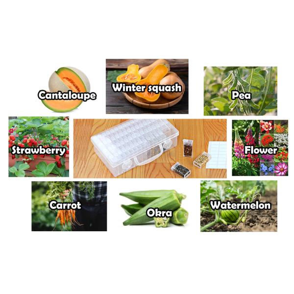 Plastic Seed Storage Box, Seeds Storage Organizer Container, Flower Seeds,Vegetable Seeds, Clover Seeds, Basil Seeds