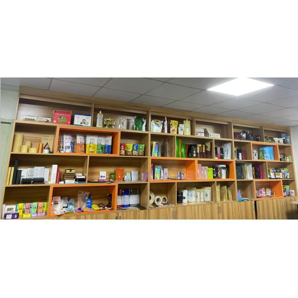 Shenzhen Supplier Stand Up Child Resistant Stand Up Pouch For Medical Pills With Double Zippers