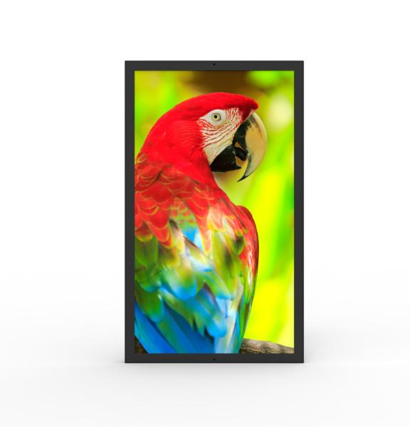 Water Resistant HDMI Commercial Digital Screens 49 Inch Ultrawide Monitor