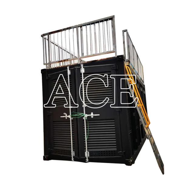 40ft Shipping Container Swimming Pool Outdoor with Durable Corten-A Structure and Plywood Floor