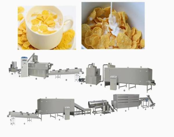 Máquina de proceso a granel libre de las avenas del cereal de desayuno del gluten