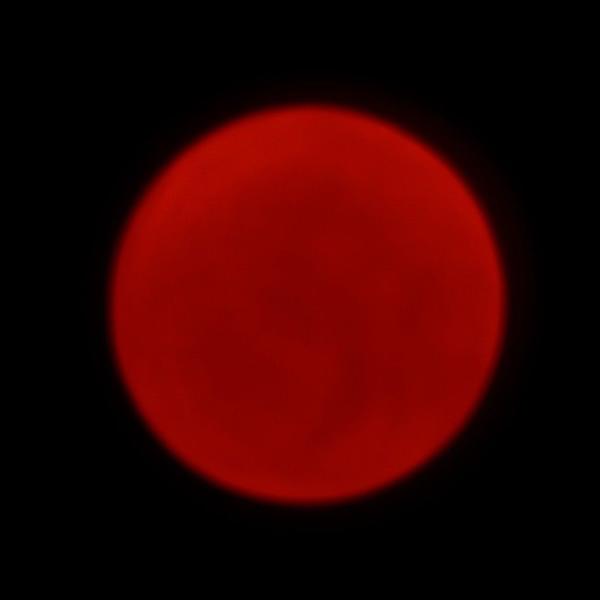 10 Watt RGBW 4in1 LED Cree LED Pin Spot Light For Professional LED Stage Lighting