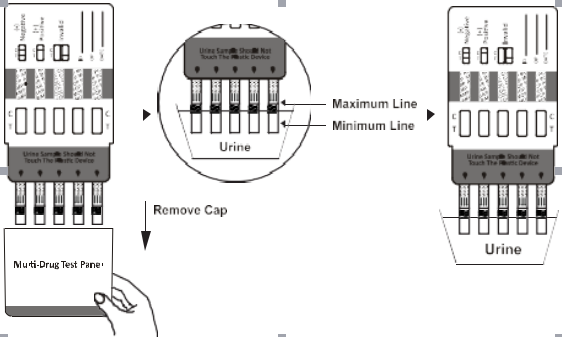 Urine Specimen Drug Abuse Test Kit , 5 Panel Drug Test Kit Gold Colloidal With CE