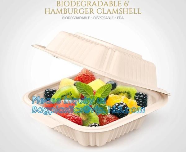 Catering Eco-Friendly Container Compartment Starch lunch Meal Box, Disposable Takeaway Packaging, Takeout