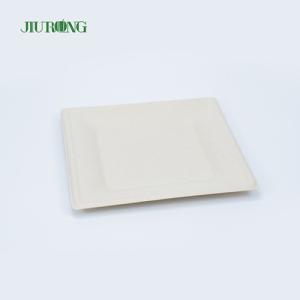 Sugarcane Food Container