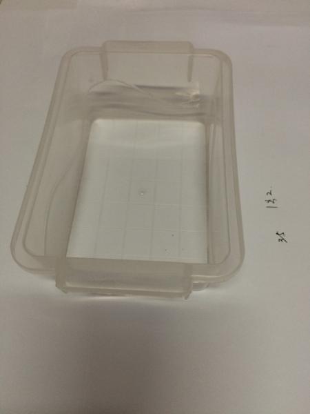 Moules simples de moulage par injection de la cavité 718 avec 5 millions de vie de moule de tir