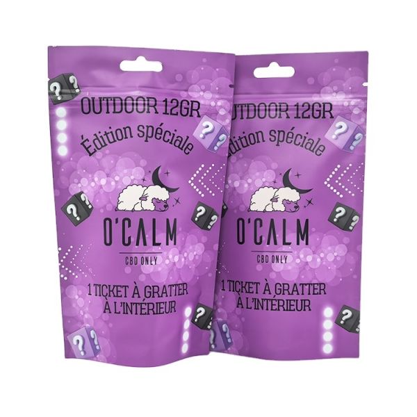 Factory Custom Logo Printing Matte Anti-Smell Stand up Zipper Bags Food Grade Packaging Pouch Mylar Doypack with Euro Hole