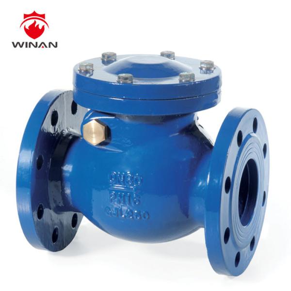 Non Slam Slow Closing DN350 1.6MPa 300PSI Swing Check Valve