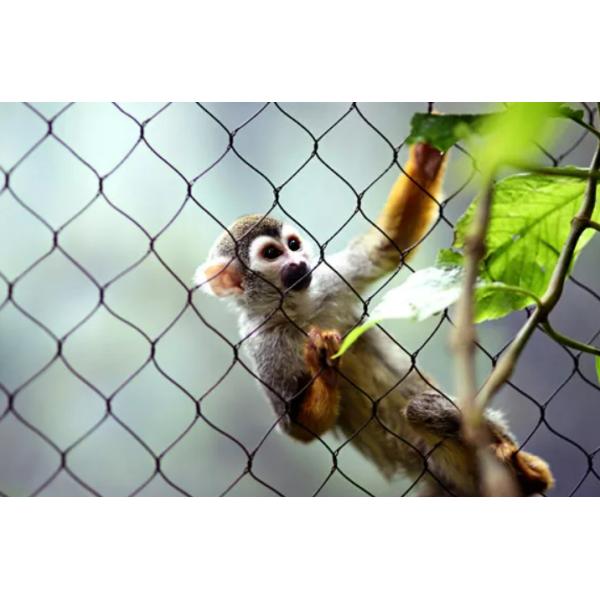 Knotted Wire Rope Net Diamond Bird Cage Fencing Stainless Steel Rope Braid Mesh CE