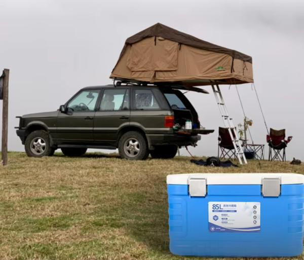 Glacière rigide isotherme et étanche 64,5 x 53,2 x 39,6 cm pour activités de plein air