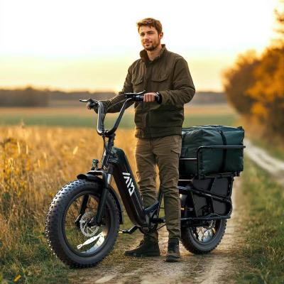 20 Inch Fat Tire  Rack for Carrying Goods & Passengers, Powerful Motor, Long Range Long Tail Electric Bike with Cargo
