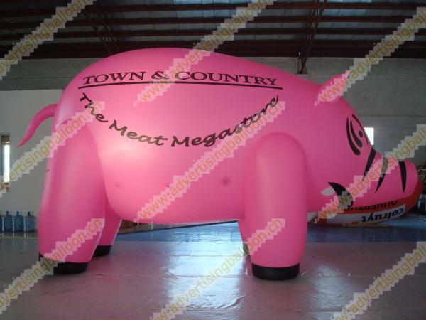 Pleins ballons formés par coutume imprimés par Digital