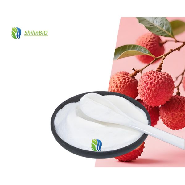 Fruit Powder Litchi Juice Powder Litchi Fruit Powder