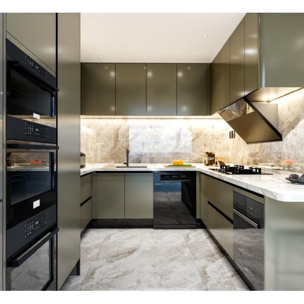 Fadior Luxury Оливково-зеленый СС Стальные кухонные шкафы с функциональным хранилищем