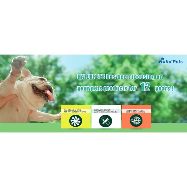 Фидер собаки шара воды собаки Carabiner ABS TPE складной для любимцев