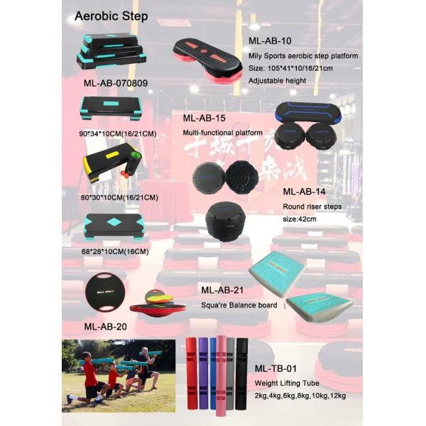 PVC 65CM Exercise Stability Ball Balance Training Eco Friendly Exercise Yoga