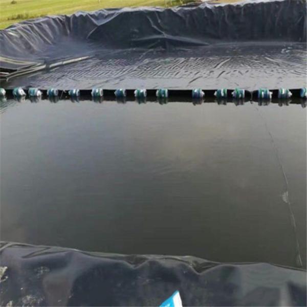 HDPE Black Fish Farm Pond Liner Plastic Geomembrane for Fish Pond Industrial Design Style