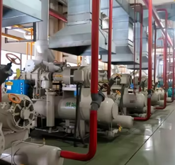Full Automatic Customized Food Grade Vacuum Lyophilizer with 5 Years Warranty Freeze Dry Machine