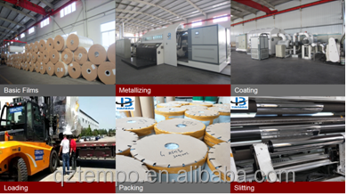 Envases flexibles BOPP PET VMBOPP VMPET PA todo tipo de película a granel