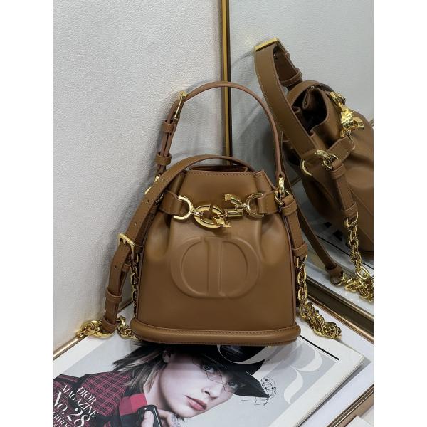 Выбитая телячья кожа сумки спорта Dior CD седловины золота сумки C'est Dior христианская