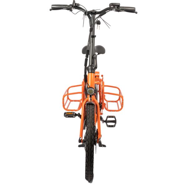 Family E-cargo Electric Bike with 20