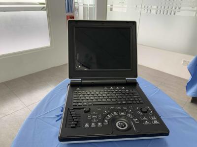 Máquina à mão portátil do ultrassom 3D do OEM com os 2 transdutores ativos