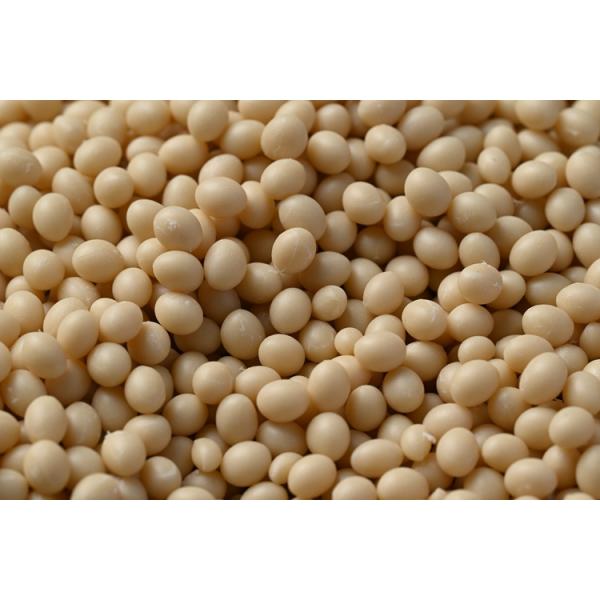 EVA Based Film Woodworking Hot Melt Adhesive CAS7085-85-0