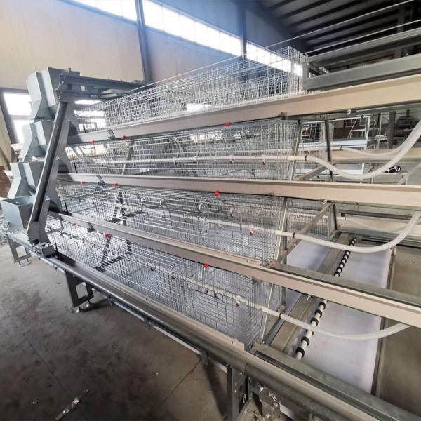 Tipo livre bebê galvanizado quente Chick Cage do projeto A 4 séries 168 pássaros